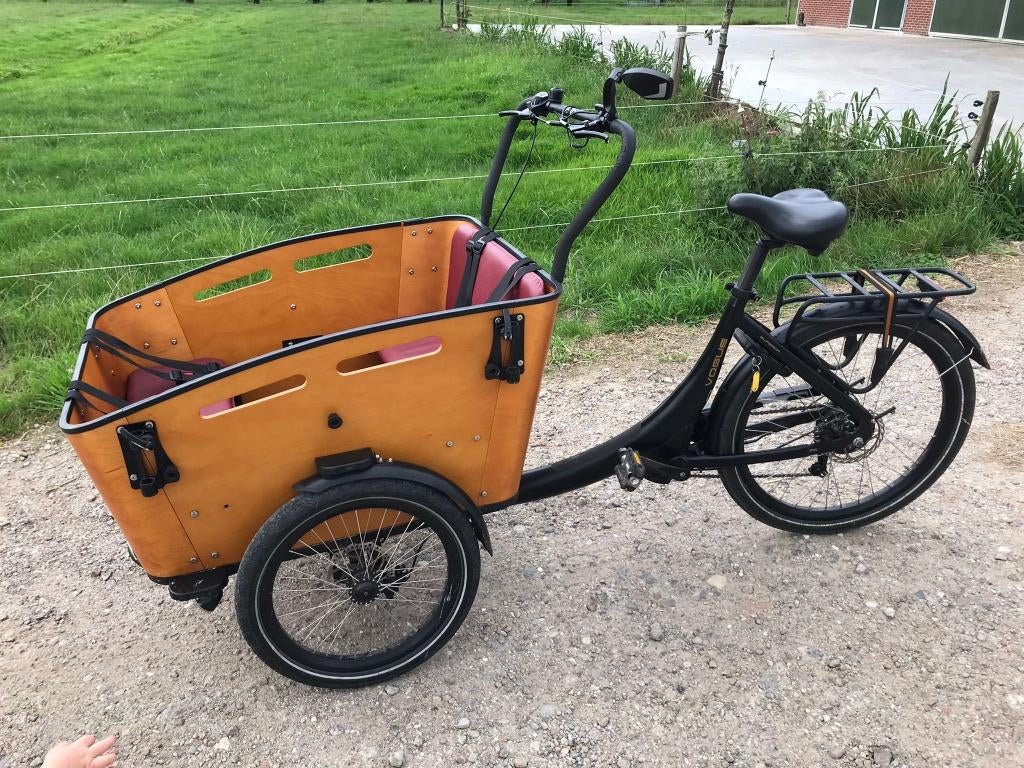 elektrische bakfiets, Fietsen en Brommers, Fietsen | Bakfietsen, Gebruikt, Overige merken, 4 kinderen of meer, Elektrisch, Huif