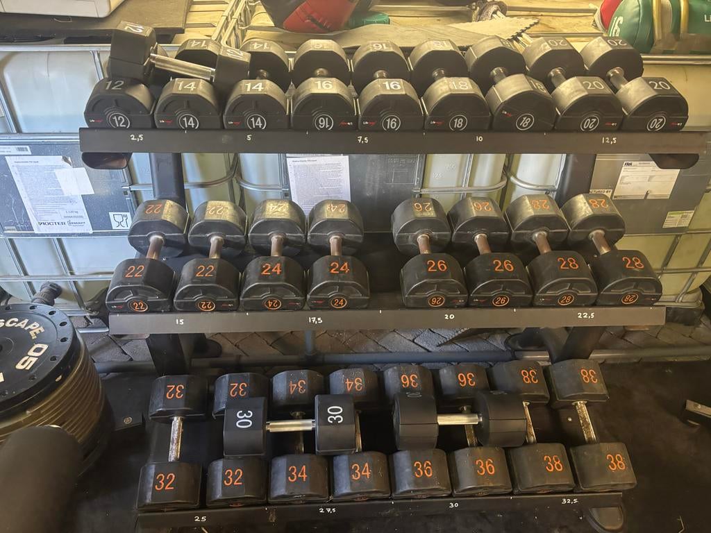 Lifemaxx PU Dumbbellset 12-38 kg met rek, Ophalen, Dumbbell, Gebruikt, Lifemaxx