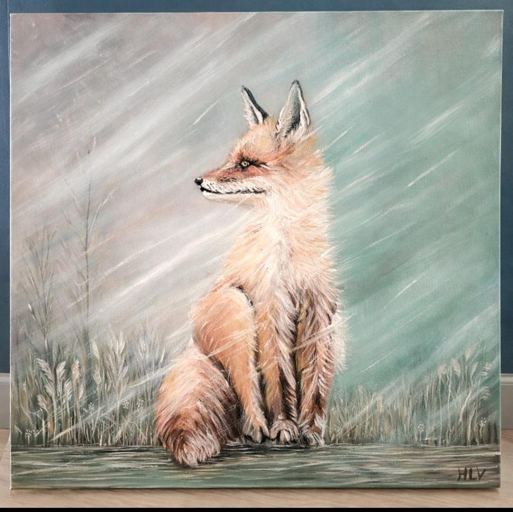 Olieverf Schilderij Vos 50x50, Ophalen of Verzenden