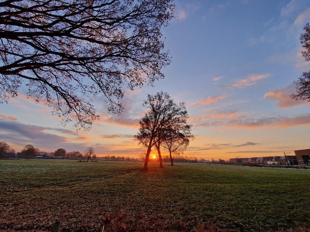 Cursus fotograferen met je smartphone