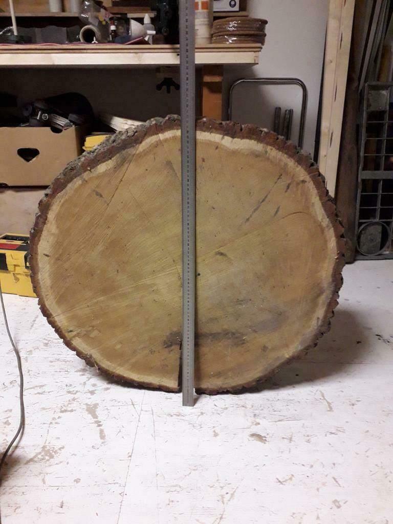 boomschijf, Ophalen of Verzenden, Nieuw, Rond, Hout