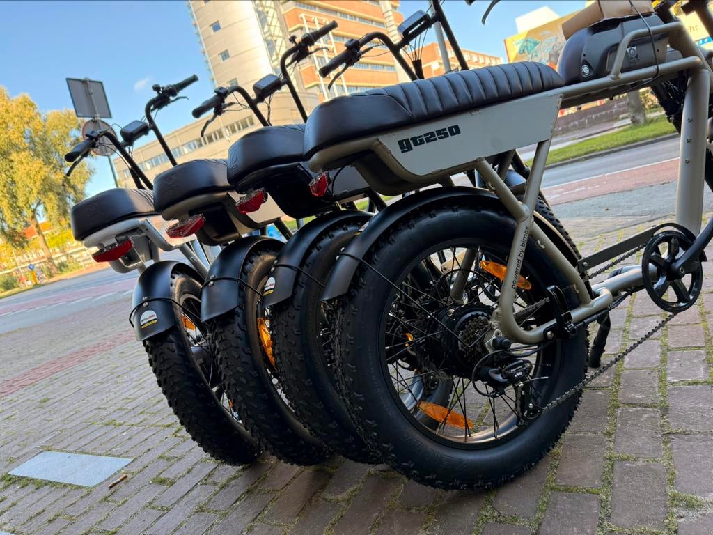 AGM GT250 fatbike van €2099,- voor €1299!!!, Ophalen, Zo goed als nieuw, 50 km per accu of meer, Overige merken
