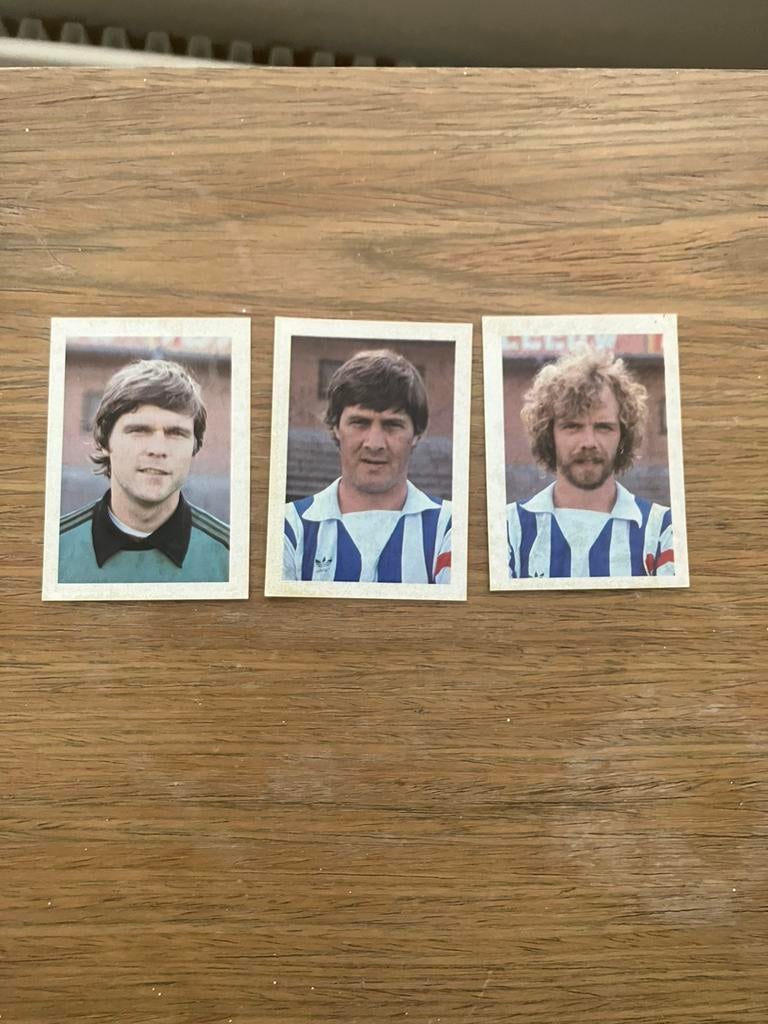 Heerenveen panini Vanderhout 1981-1982, Verzamelen, Ophalen of Verzenden, Gebruikt, Overige binnenlandse clubs, Poster, Plaatje of Sticker