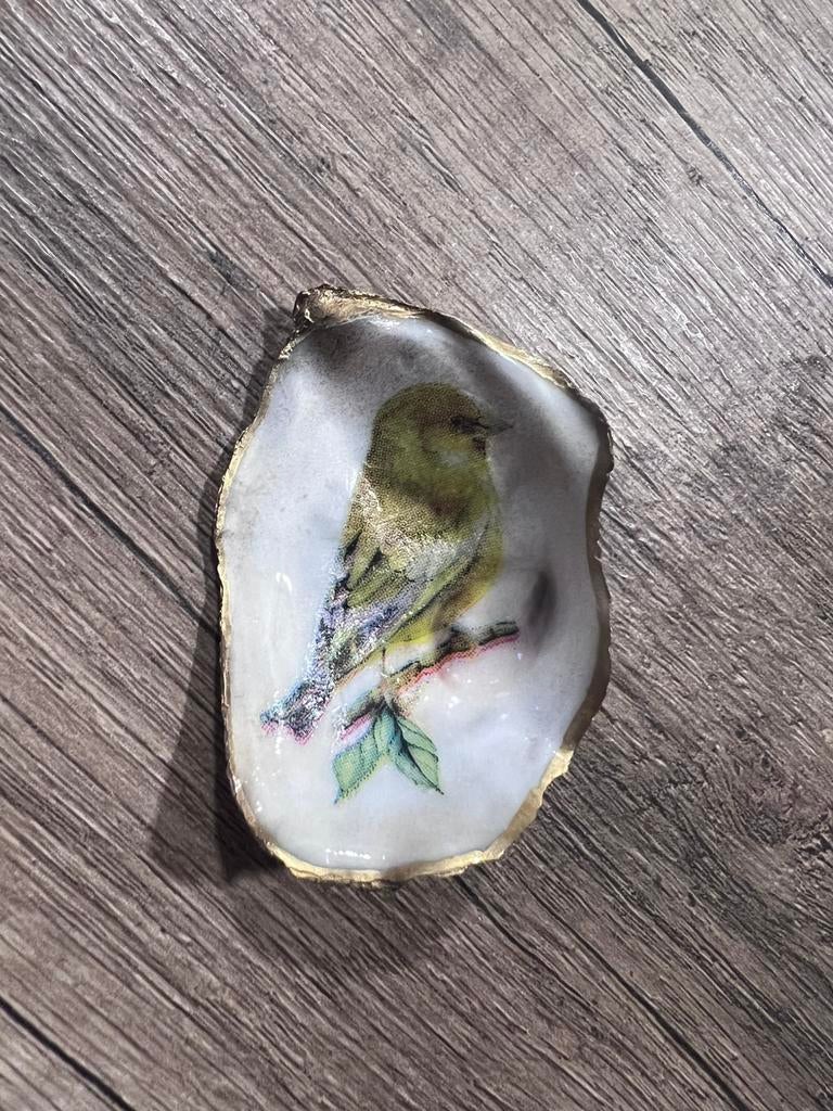 Klein oesterschelpje met Groenling, Ophalen of Verzenden, Schelp(en)