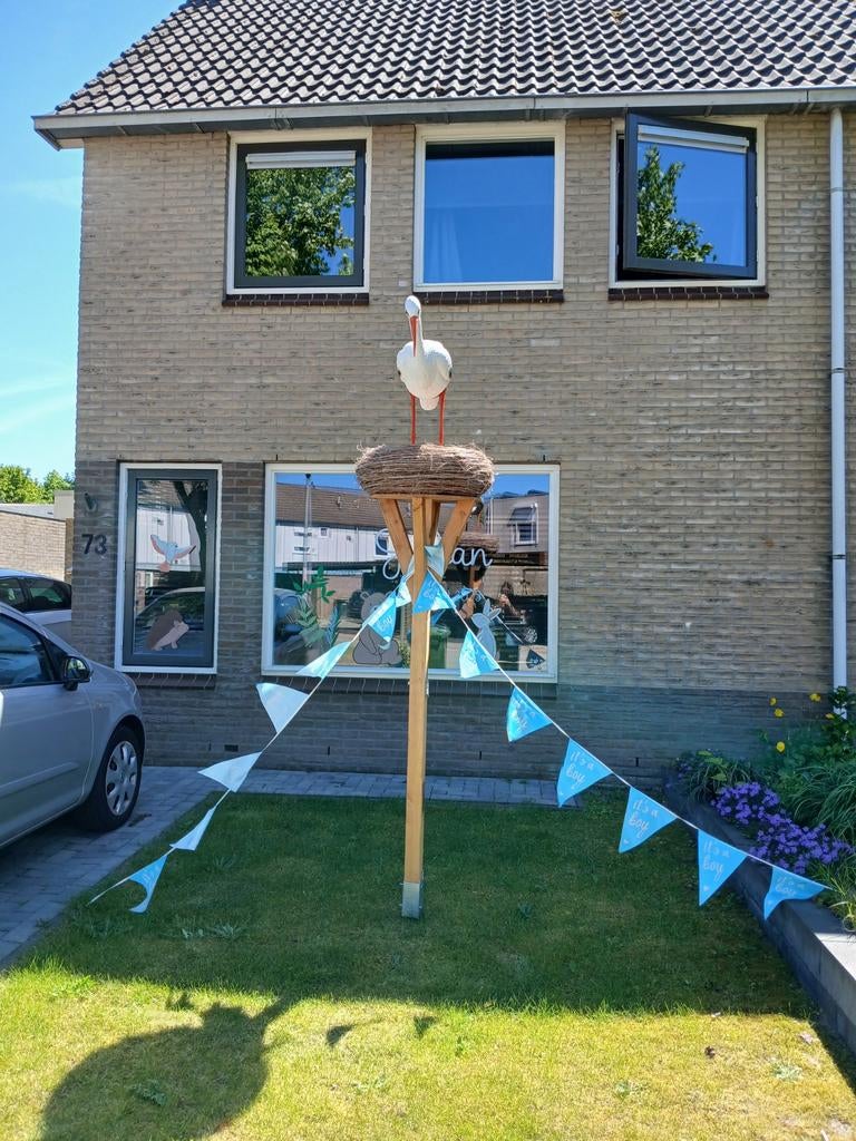 Geboorteaankondiging ooievaarsnest ooievaar, Ophalen of Verzenden