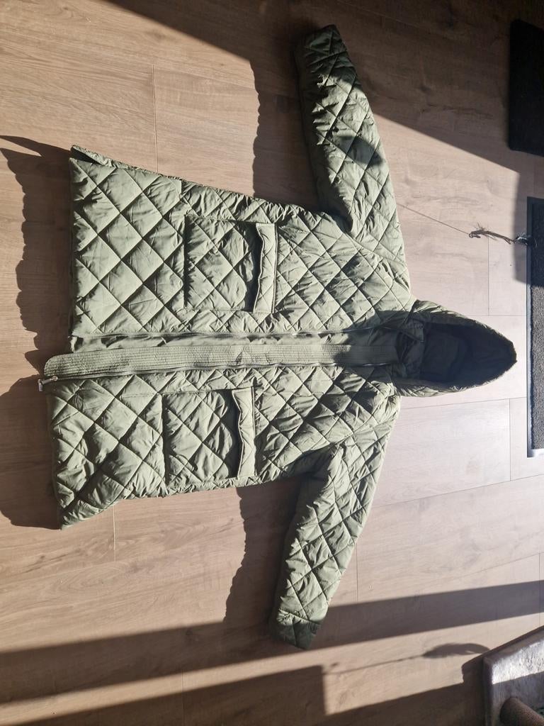 Dames winterjas xl, Ophalen of Verzenden, Zo goed als nieuw, Maat 46/48 (XL) of groter, Groen