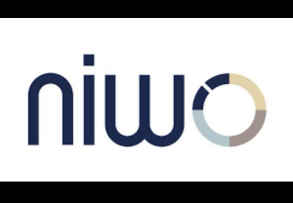 Niwo vergunning, Chauffeursdiensten