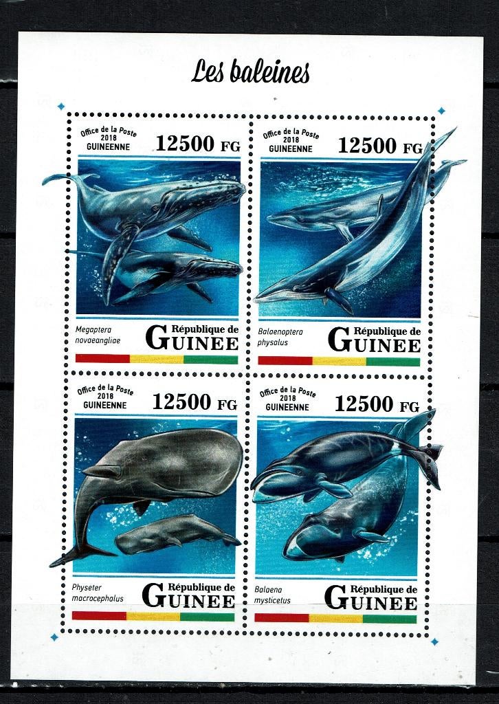 GUINEE 2018 PF BLOK WALVISSEN ZEELEVEN ZEEZOOGDIEREN 1, Postzegels en Munten, Postzegels | Thematische zegels, Postfris, Dier of Natuur