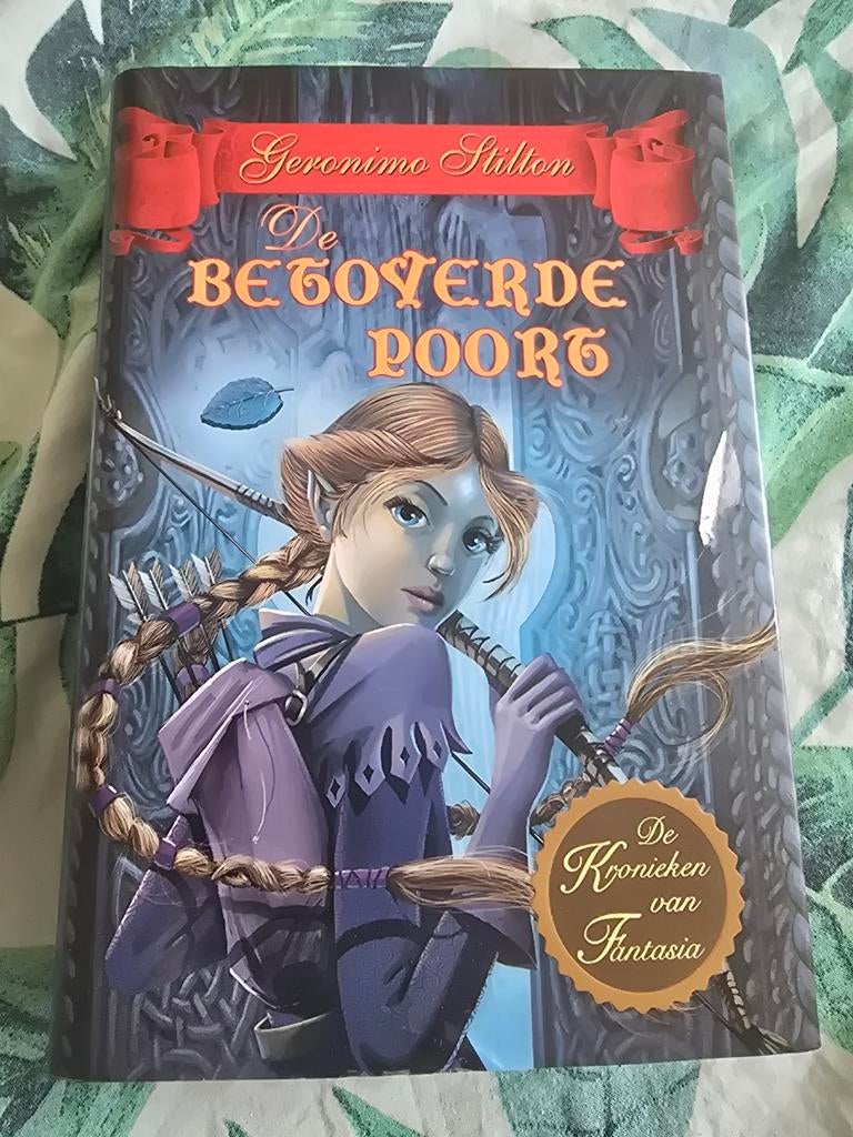 Geronimo Stilton: de betoverde poort, hardcover Nederlands, Boeken, Kinderboeken | Jeugd | 10 tot 12 jaar, Ophalen of Verzenden