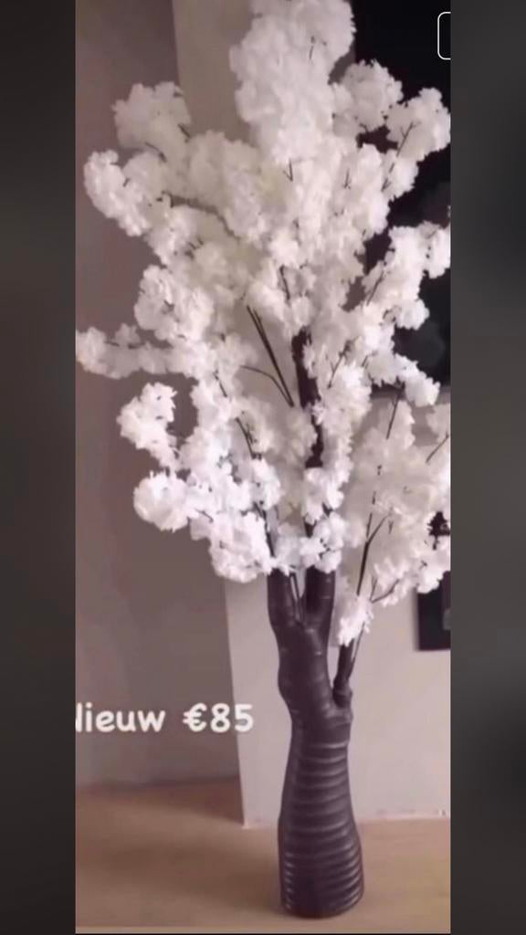 Nıeuw prachtige bloesem bloesemboom, Ophalen of Verzenden, Nieuw, Binnen
