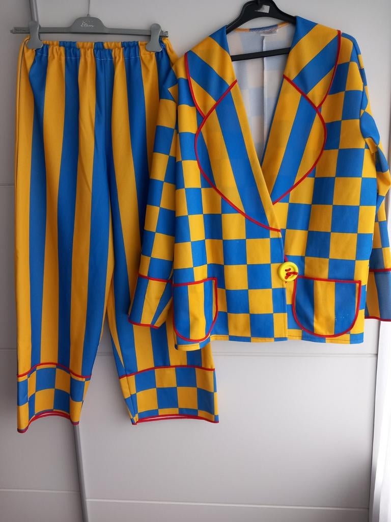Carnavalskleding, Carnaval, Onbekend, Maat 48/50 (M), Ophalen of Verzenden