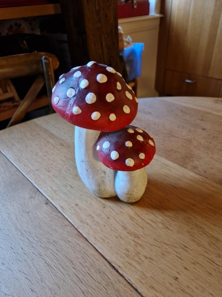 ZWARE STENEN PADDENSTOELEN 🍄, Ophalen of Verzenden, Gebruikt, Dier