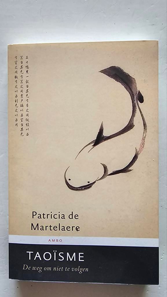Taoïsme: De weg om niet te volgen - Patricia de Martelaere, Boeken, Ophalen of Verzenden, Zo goed als nieuw, Wijsbegeerte of Ethiek