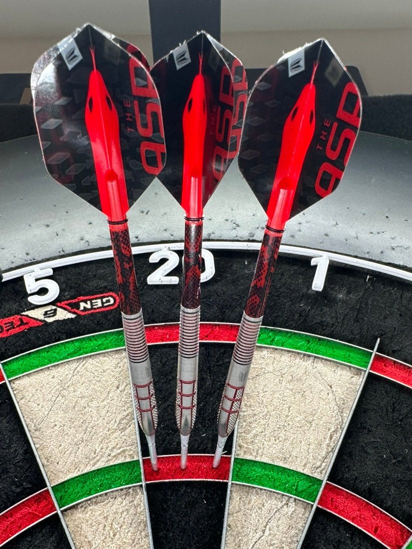 NIEUW Target Nathan Aspinall Dartpijlen 24g 95% Tungsten, Sport en Fitness, Darts, Ophalen of Verzenden, Nieuw, Pijlen