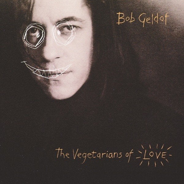 Bob Geldof, Ophalen of Verzenden, Gebruikt, Folk