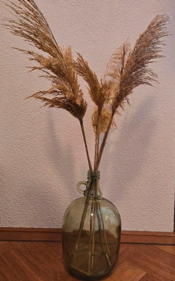 Groene glazen fles met sierpluimen, Ophalen, Groen, Glas, Minder dan 50 cm