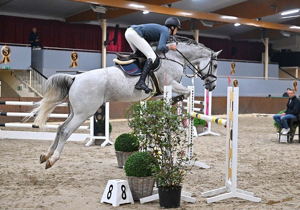 boxen vrij voor trainingspaarden/ zadelmak maken, Dieren en Toebehoren, Stalling en Weidegang, 4 paarden of pony's of meer