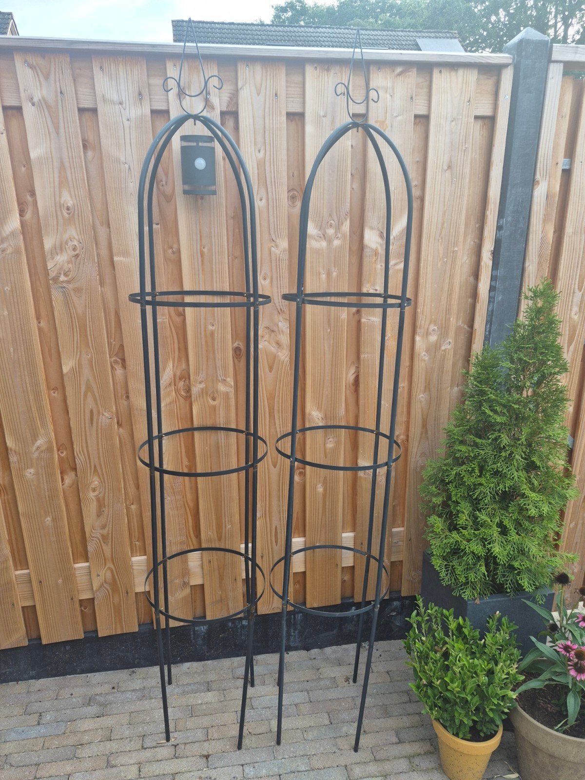 2 stuks Rozenboog / Opbinder voor klimplanten (2 stuks), Ophalen, Bloeit niet, Overige soorten, Volle zon
