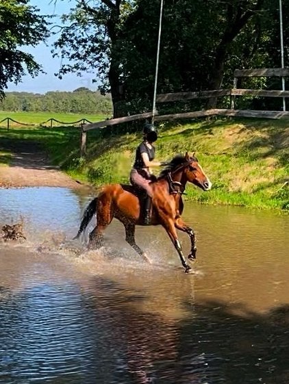 Bijrijder gezocht!(periode sept-okt), Ophalen, Recreatie