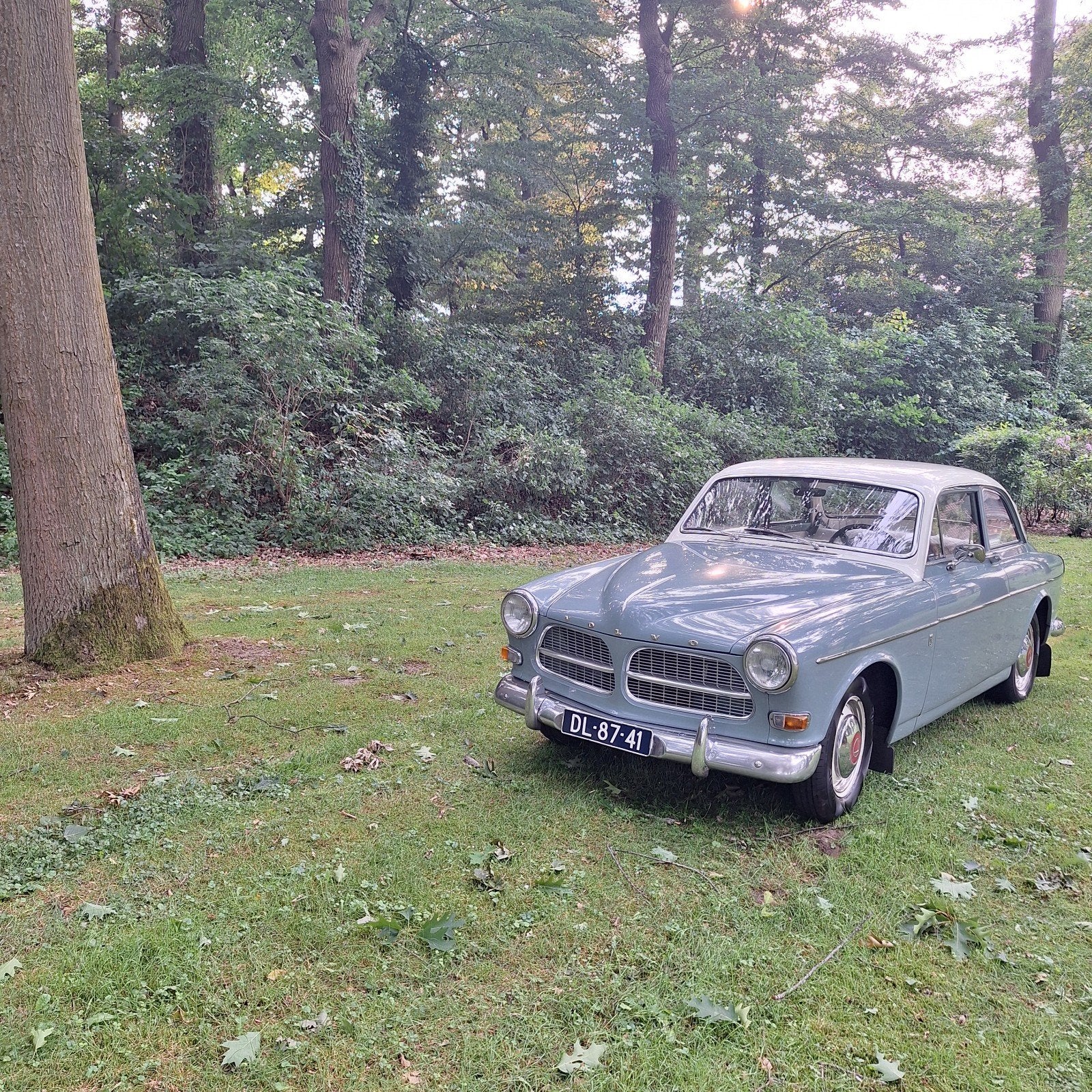 Prachtige Volvo Amazon uit 1962, foto 5