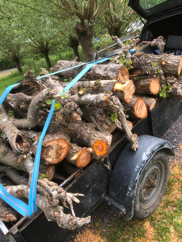1m³ vers elzenhout op stukken gezaagd, Tuin en Terras, Haardhout, Minder dan 3 m³, Ophalen of Verzenden, Elzenhout, Blokken
