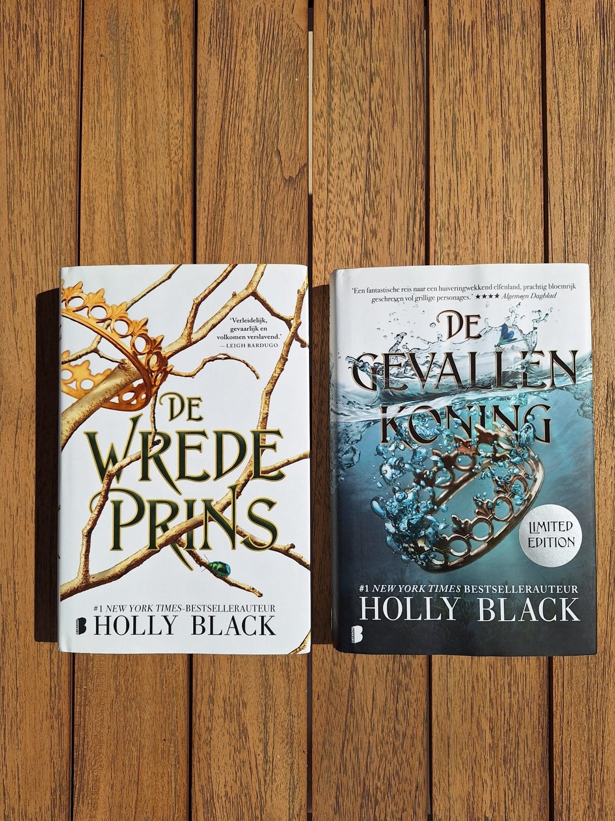 De Wrede Prins & De Gevallen Koning - Holly Black z.g.a.n, Boeken, Verzenden, Zo goed als nieuw
