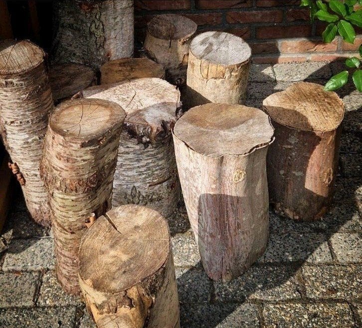 Boomstammetjes huren Rustiek Bohemian Chique Bruiloft&Feest, Ophalen of Verzenden, Geboorte of Huwelijk