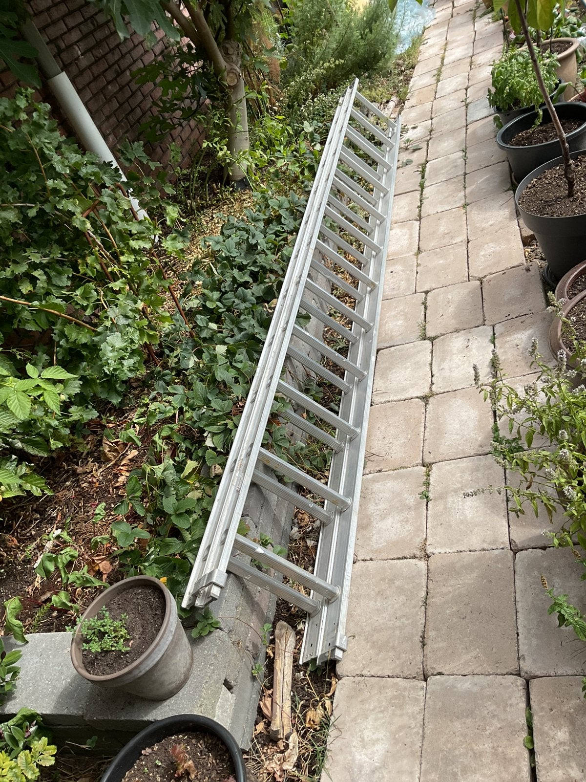 Degelijke aluminium ladder, uitschuifbaar 2x12 treden (zgan), Ophalen, Zo goed als nieuw, 4 meter of meer