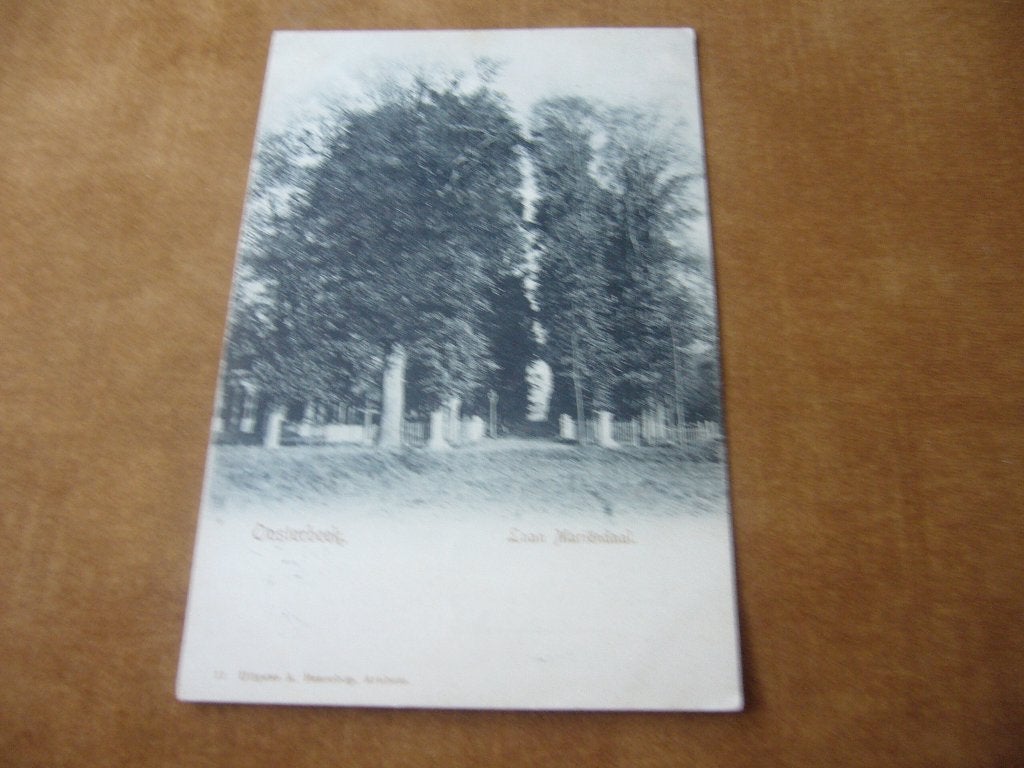 OOSTERBEEK  =   LAAN MARIENDAAL   BRIEFKAART  1903, Ophalen of Verzenden, Voor 1920, Gelopen, Gelderland