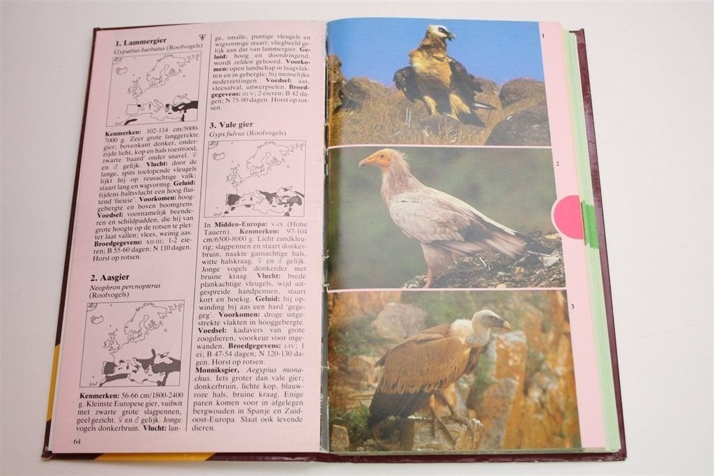 Vogelgids in Kleur — Veldgids Alle Europese Vogelsoorten, Ophalen of Verzenden, Gelezen, Vogels