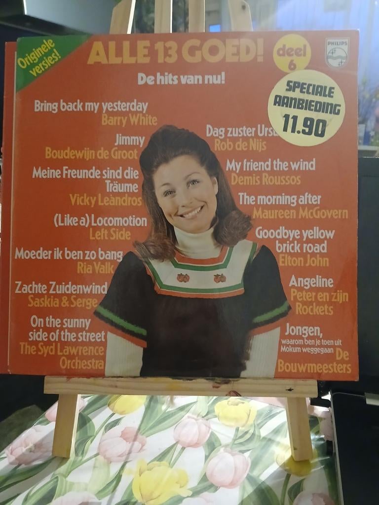 Alle 13 Goed! deel 6 vinyl, Cd's en Dvd's, Vinyl | Verzamelalbums, Ophalen of Verzenden