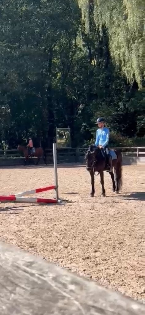 Verzorgpaard gezocht!!, Dieren en Toebehoren, Toebehoren