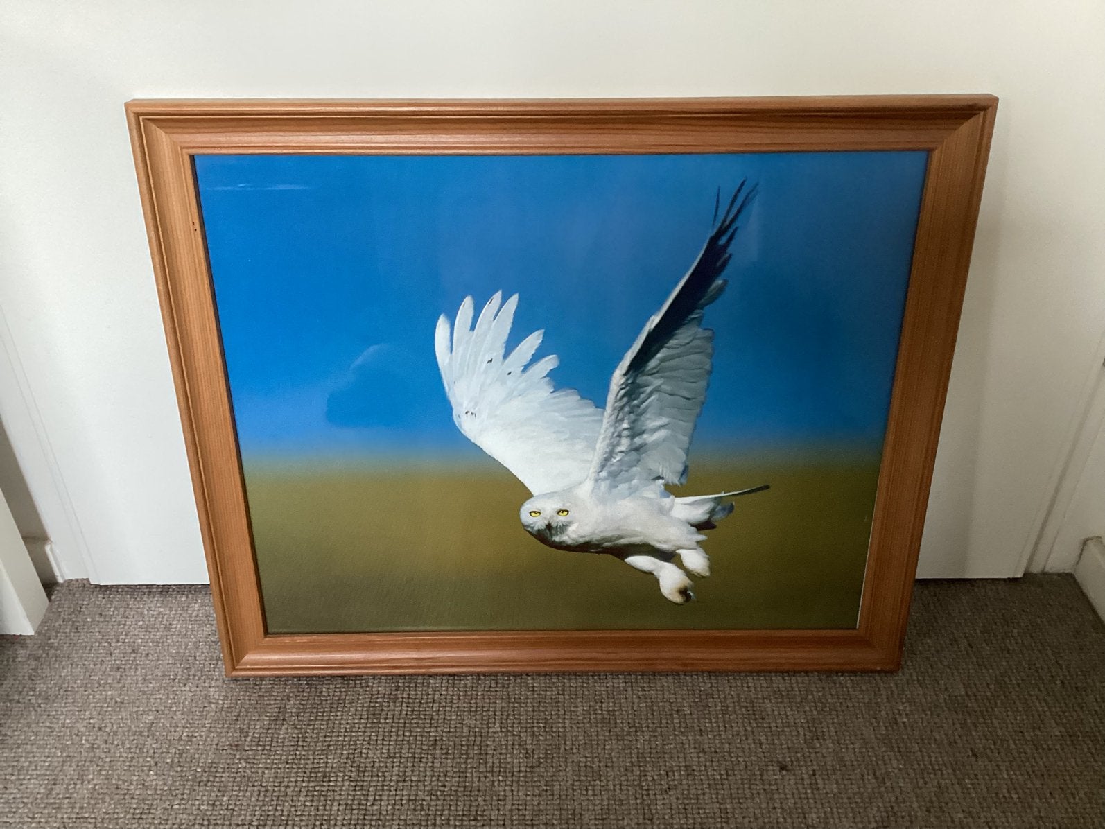 Witte uil ( Hedwig, Harry Potter), Ophalen, Zo goed als nieuw, Minder dan 50 cm, Foto of Poster