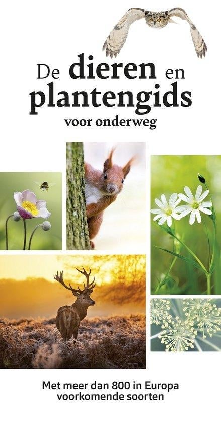 De dieren- en plantengids voor onderweg, Boeken, Natuur, Wilhelm Eisenreich, Nieuw, Ophalen of Verzenden, Natuur algemeen