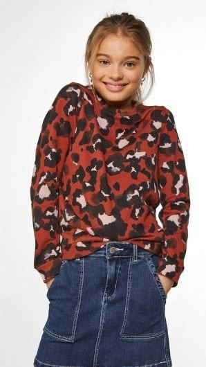 Mooie WE sweater met panterdessin in maat 146-152., Kinderen en Baby's, Kinderkleding | Maat 146, Trui of Vest, Zo goed als nieuw
