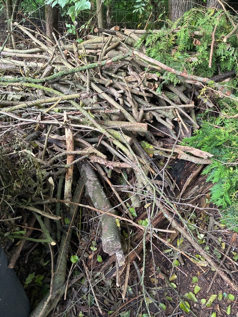 Gratis hout, houtsnippers en kleine takjes, Tuin en Terras, Ophalen, Boomschors