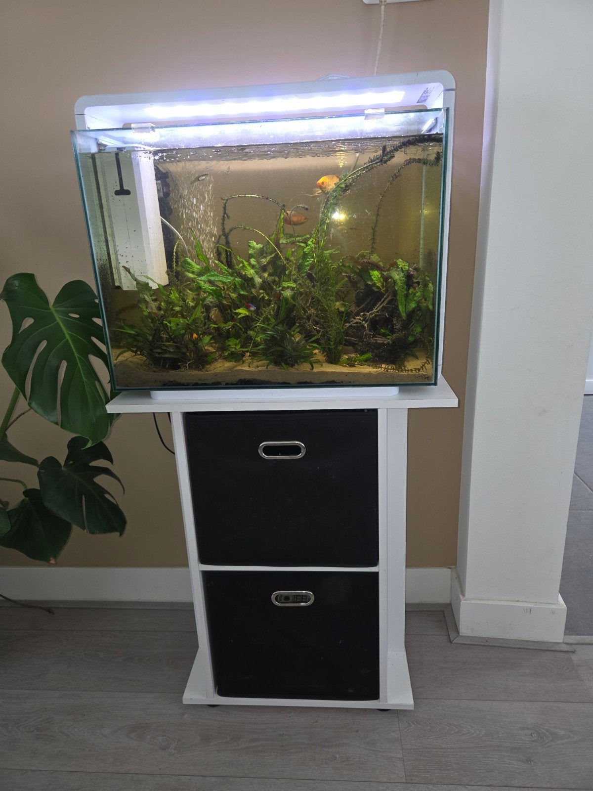 Zeer mooi aquarium superfish home 85., Ophalen, Zo goed als nieuw, Gevuld zoetwateraquarium