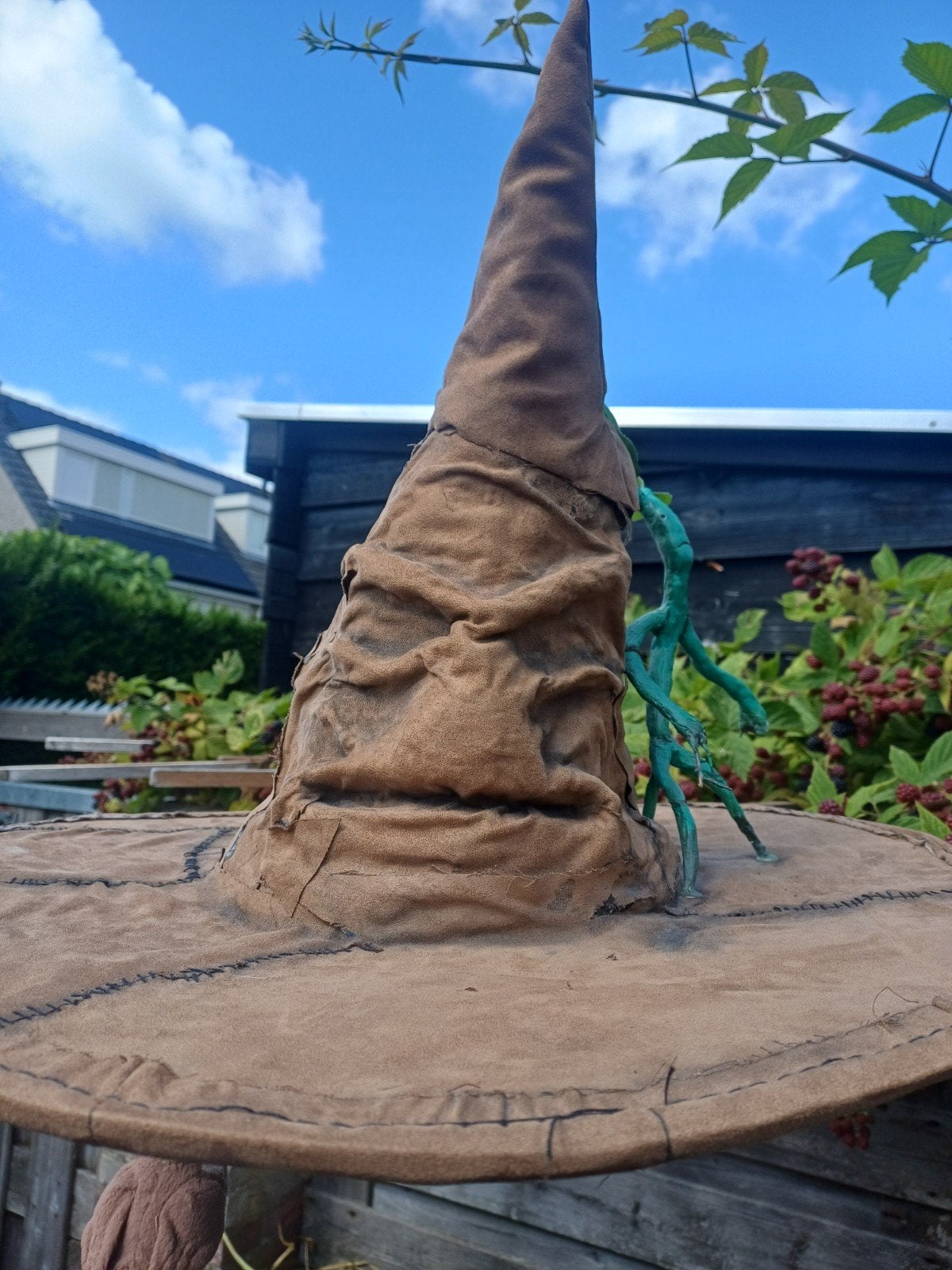Sorting hat uit Harry Potter, Ophalen, Gebruikt, Handschoenen, Hoed of Pet