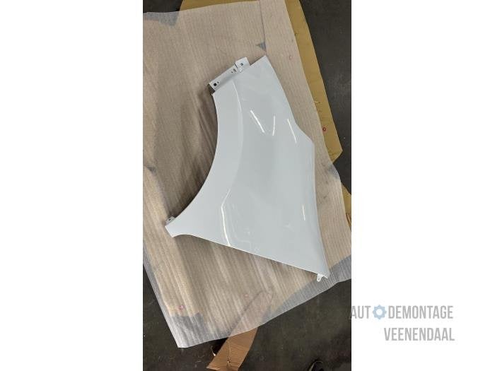 Scherm links-voor van een Renault Master (0369), -, Renault, -, Nieuw