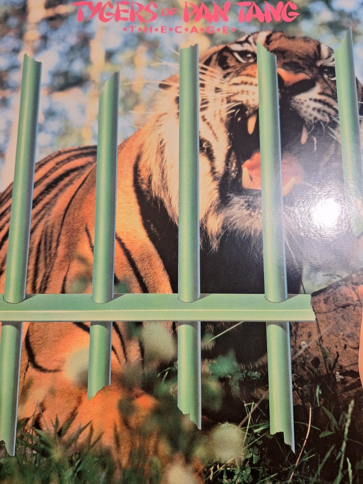 Tygers of Pan Tang - The Cage LP (1982) Hard Rock Vinyl, LP, Gebruikt, Verzenden, Hard Rock