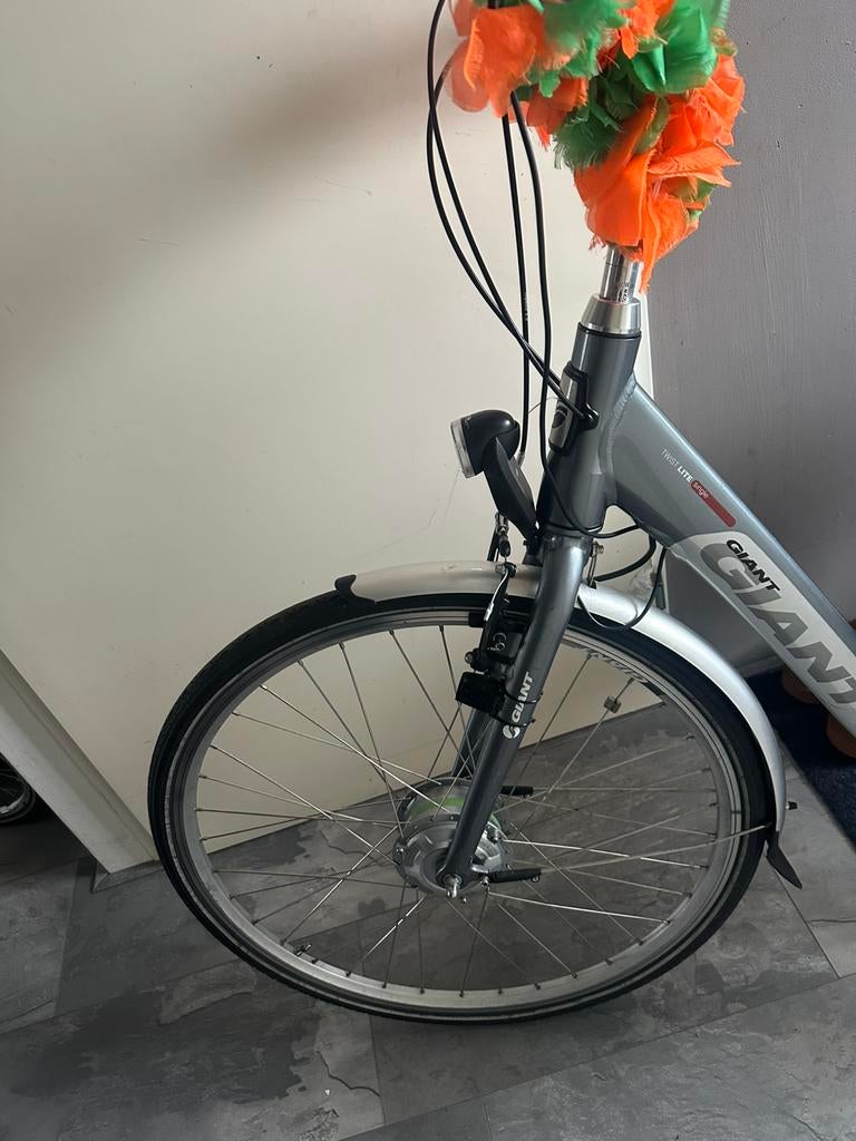 Giant fiets, Fietsen en Brommers, Elektrische fietsen, Minder dan 30 km per accu, Gebruikt, 51 tot 55 cm, Giant