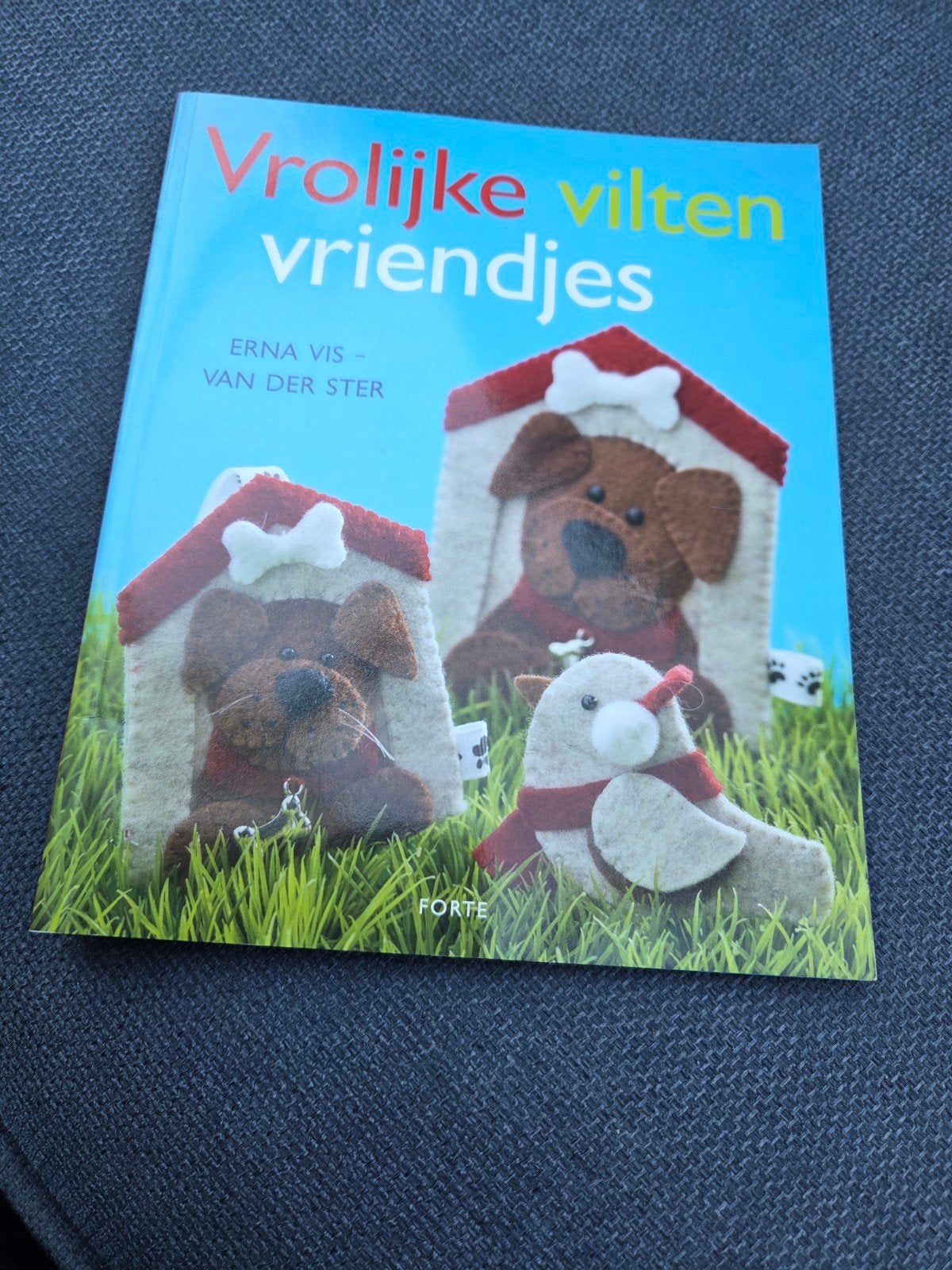 Vrolijke vilten vriendjes - Knutselboek, Erna Vis - Van der Ster, Ophalen of Verzenden, Zo goed als nieuw, Scrapbooking en Knutselen