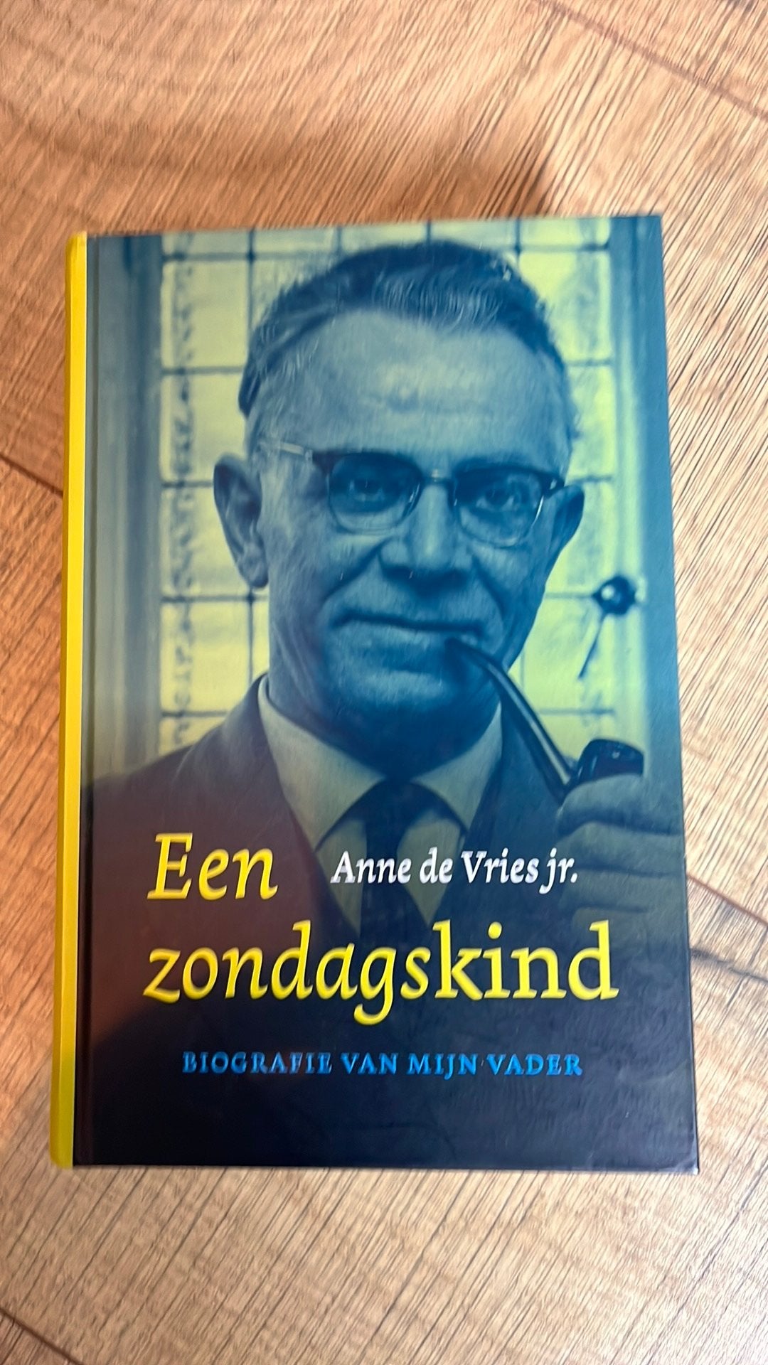 Een zondagskind, Anne de Vries jr, Boeken, Ophalen of Verzenden, Zo goed als nieuw