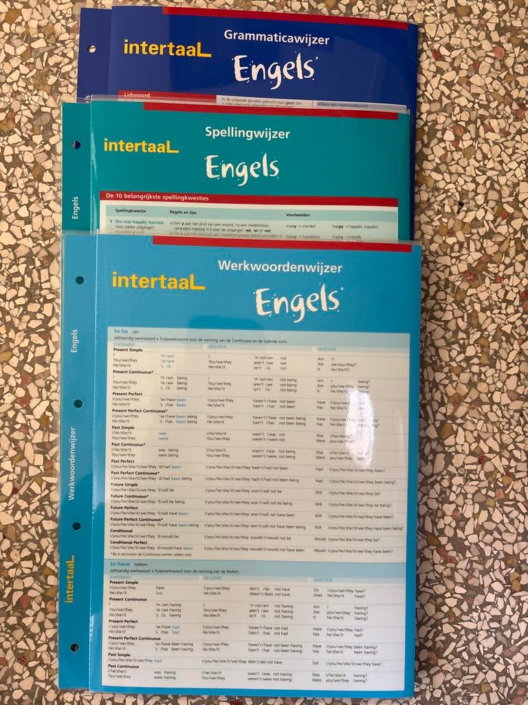 Intertaal Engelse Grammatica-, Spelling- en Werkwoordenwijze, Boeken, Ophalen of Verzenden, Zo goed als nieuw, Non-fictie