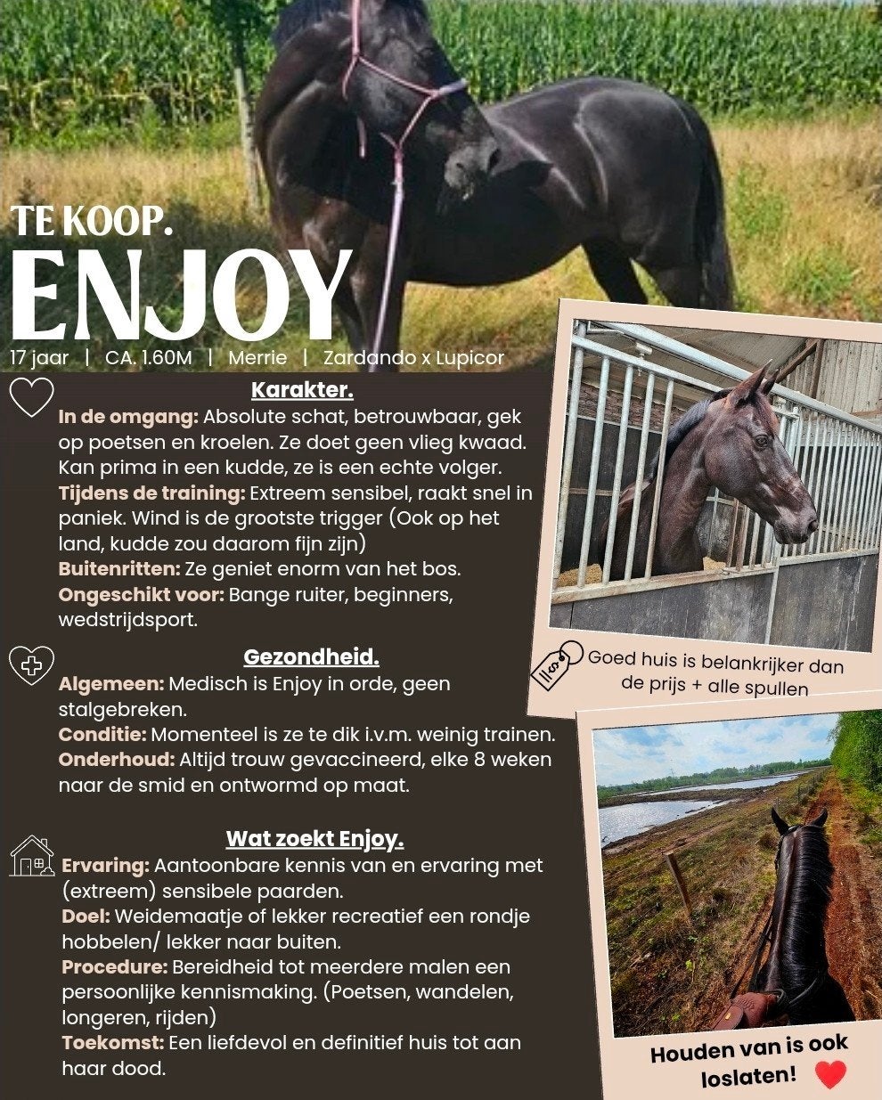 Gezocht, Dieren en Toebehoren, Stalling en Weidegang