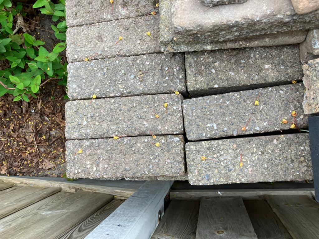 Waaltjes dikformaat - ca. 7 m2, Ophalen, Gebruikt, Klinkers, 5 tot 10 m²