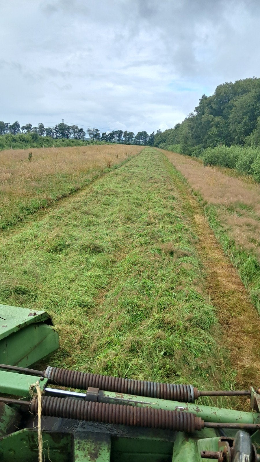 Gras op stam gezocht, Ophalen, Vee