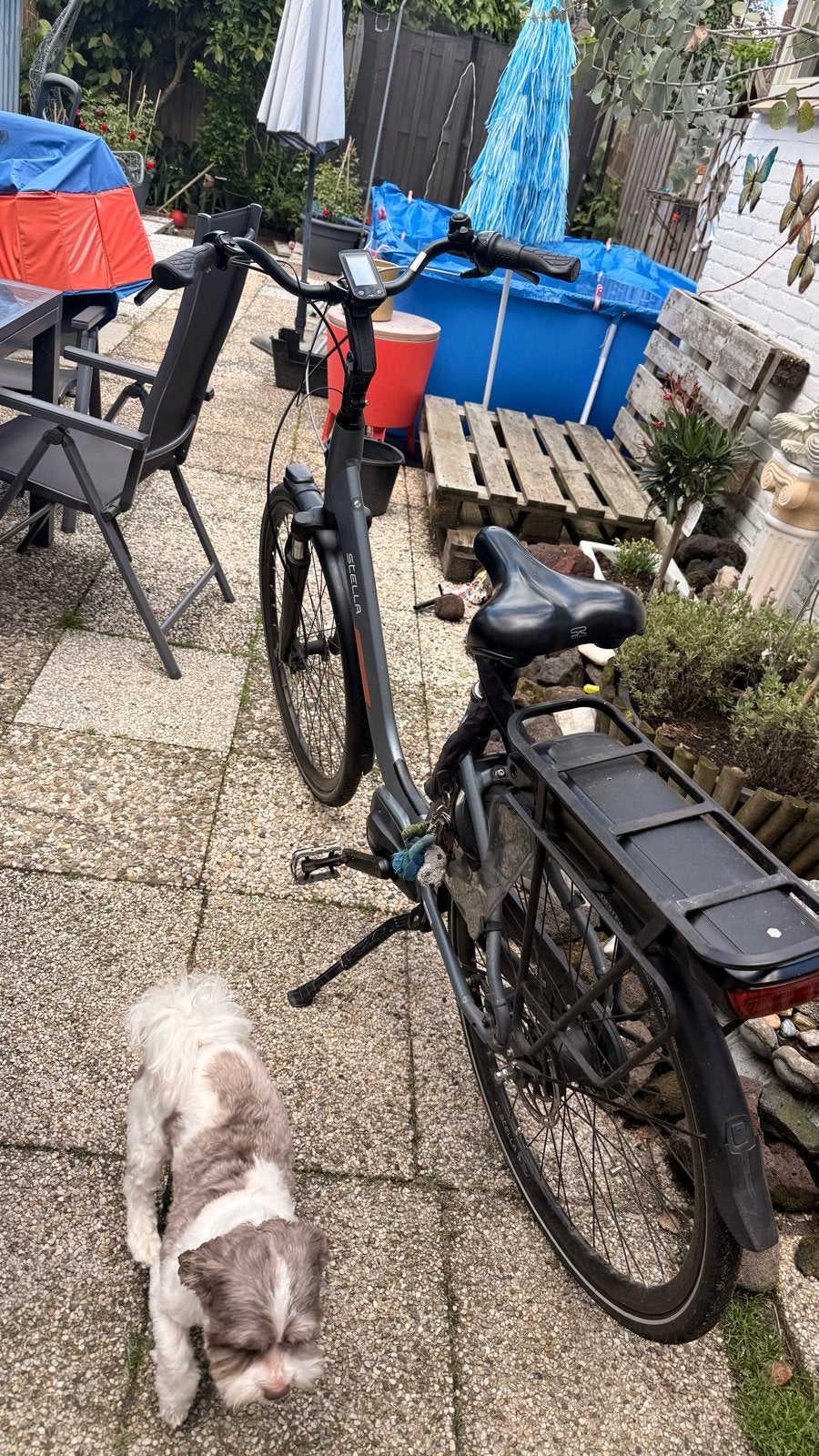 Stella e-bike met 500Wh accu, 51 tot 55 cm, Ophalen of Verzenden, Gebruikt, 50 km per accu of meer