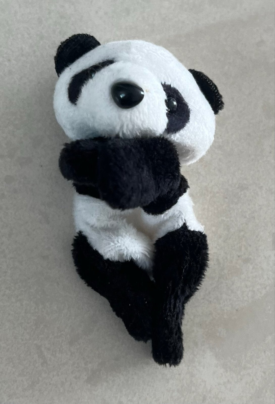 Schattige kleine panda   - Zwart-wit magneet, Ophalen of Verzenden, Zo goed als nieuw, Overige typen