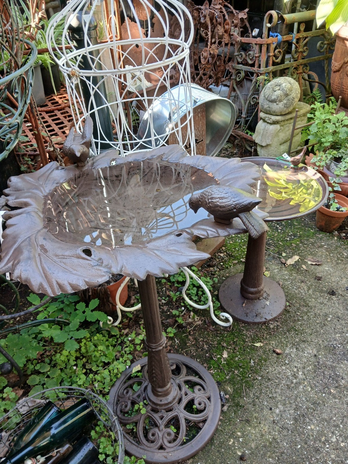 Waterspuwer waterornament vis kikker leeuw eend "De Evenaar"